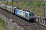 Kurz vor Concise ist die an die BLS vermietete Railpool 187 008-8 mit einem Güterzug auf dem Weg in Richtung Biel/Bienne.

5. Juli 2025 