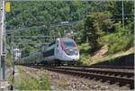 Ein TGV! bei Villeneuve? - nicht dass ich hier noch nie einen gesehen hätte, ABER im Frühjahr 2017 fuhr der letzte TGV de Neige von Lausanne in Richtung Wallis und zurück, denn durch