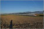 Zwei ICN 500 sind bei Bolken auf dem Weeg von Genève Aéroport nach Rorschach.