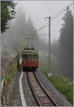 Der BLM Be 4/4 31  Lisi  (ex Bipperlisi - SNB/OJB) ist mit einem Vorstellwagen kurz nach Mürren auf der Fahrt nach der Grütschalp, wobei dankd dem  störenen  Vorstellwagen ich hier