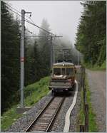Der BLM Be 4/4 31  Lisi  (ex Bipperlisi - SNB/OJB) ist mit einem Vorstellwagen kurz nach Mürren auf der Fahrt nach der Grütschalp.