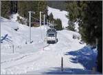 Kurz nach der Station Winteregg ist einer der drei neune BLB Be 4/6 auf dem Weg nach Grütschalp. 

18. Feb. 2025