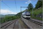 Der MOB Alpina ABe 4/4 9301 erreicht mit seinem Regionalzug von Zweisimmen den Bahnhof von Chamby, links im Bild ist die Strecke nach Blonay zu sehen, welche von der Museumsbahn Blonay-Chamby genutzt
